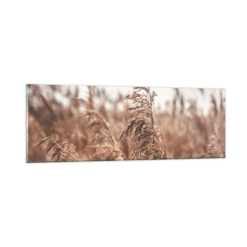 Glastavla - Bild på glas - Hösten är framme på åkrarna - 90x30 cm