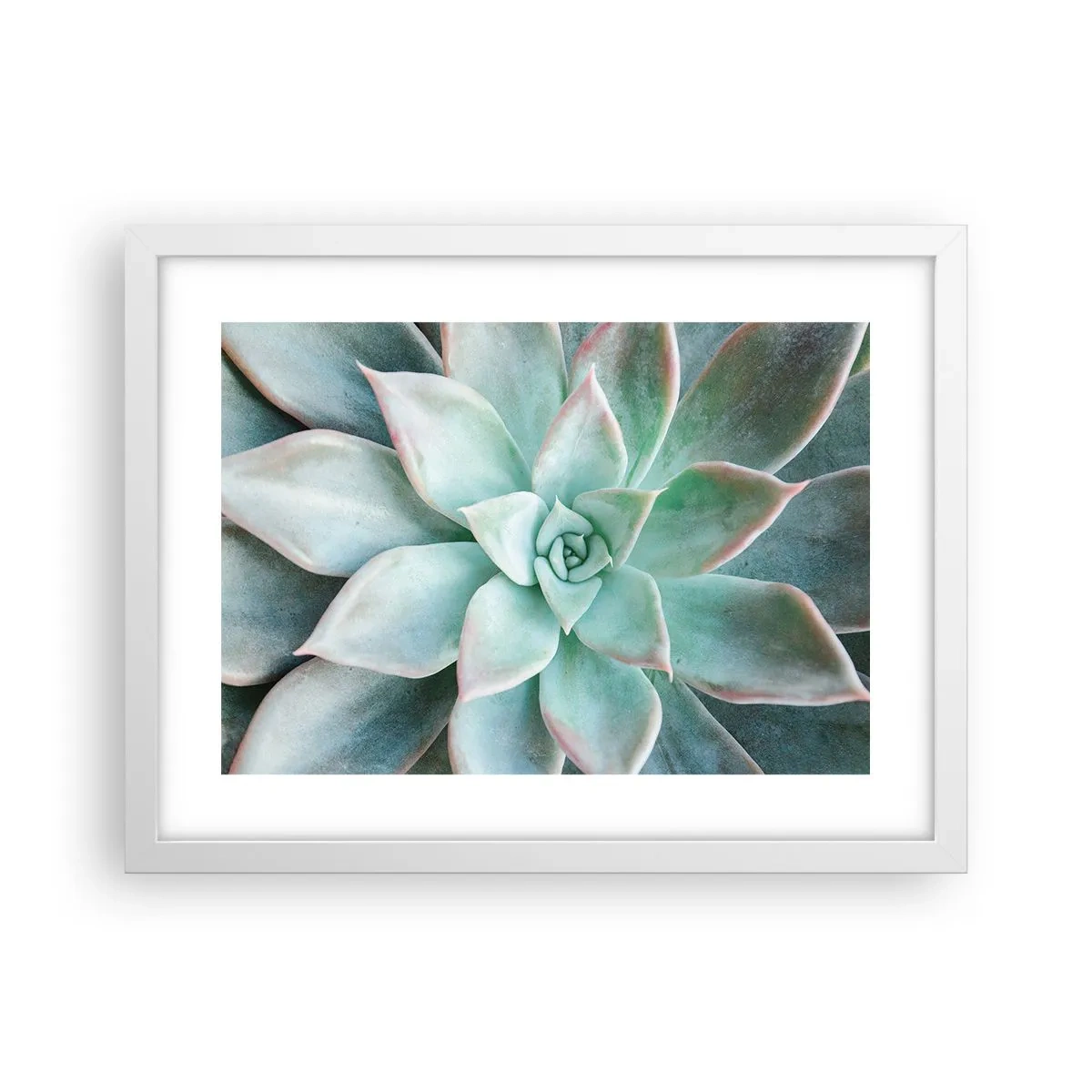 Affisch i vit ram - Öknens hjärta - 40x30 cm