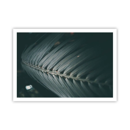 Affisch - Naturens precision - 100x70 cm