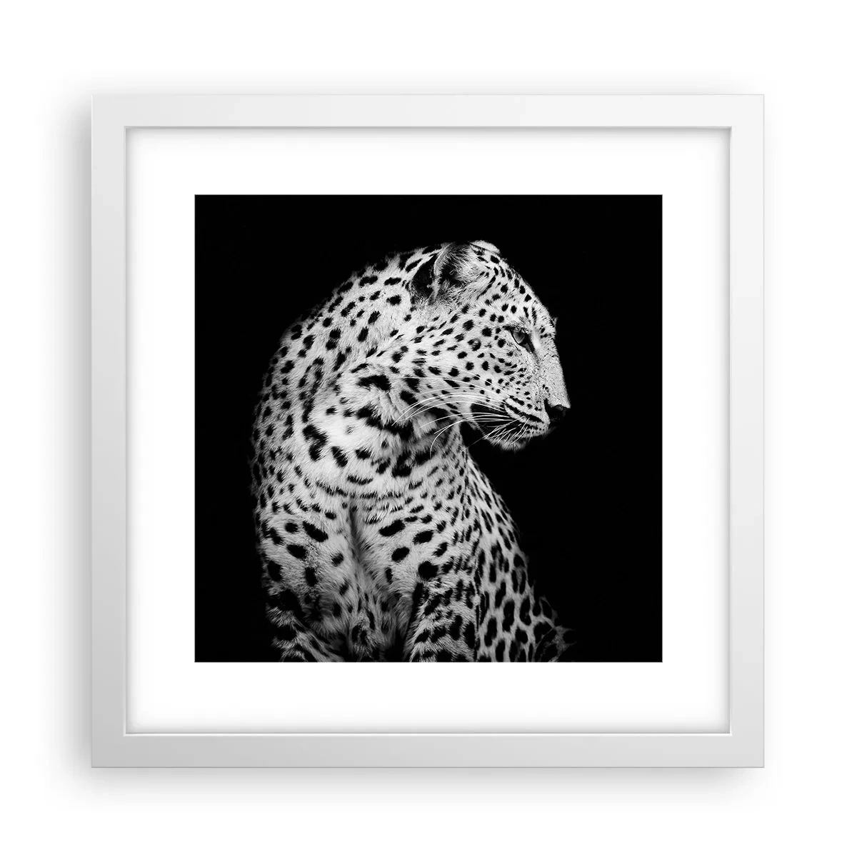 Affisch i vit ram - Perfekt höger profil! - 30x30 cm