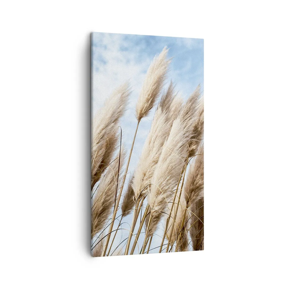 Canvastavla - Bild på duk - Solig och blåsig smekning - 45x80 cm