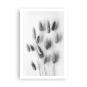 Affisch - Fluffigt gräs - 61x91 cm