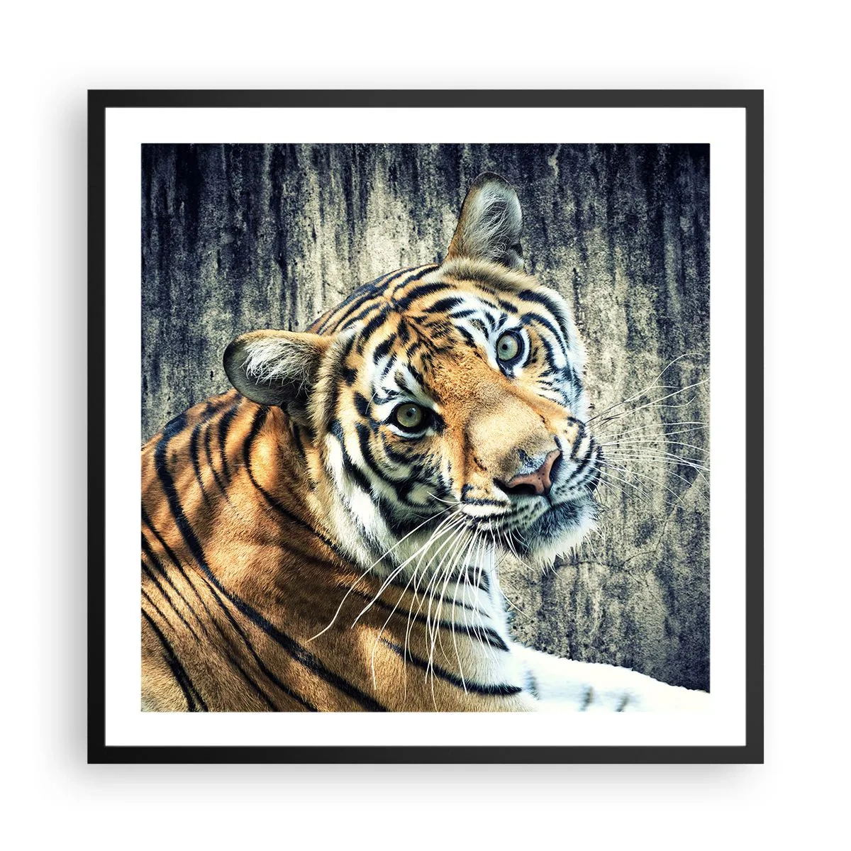 Affisch i svart ram - Porträtt i ljusstrålar - 60x60 cm