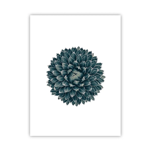 Affisch - Öknens stjärna - 30x40 cm