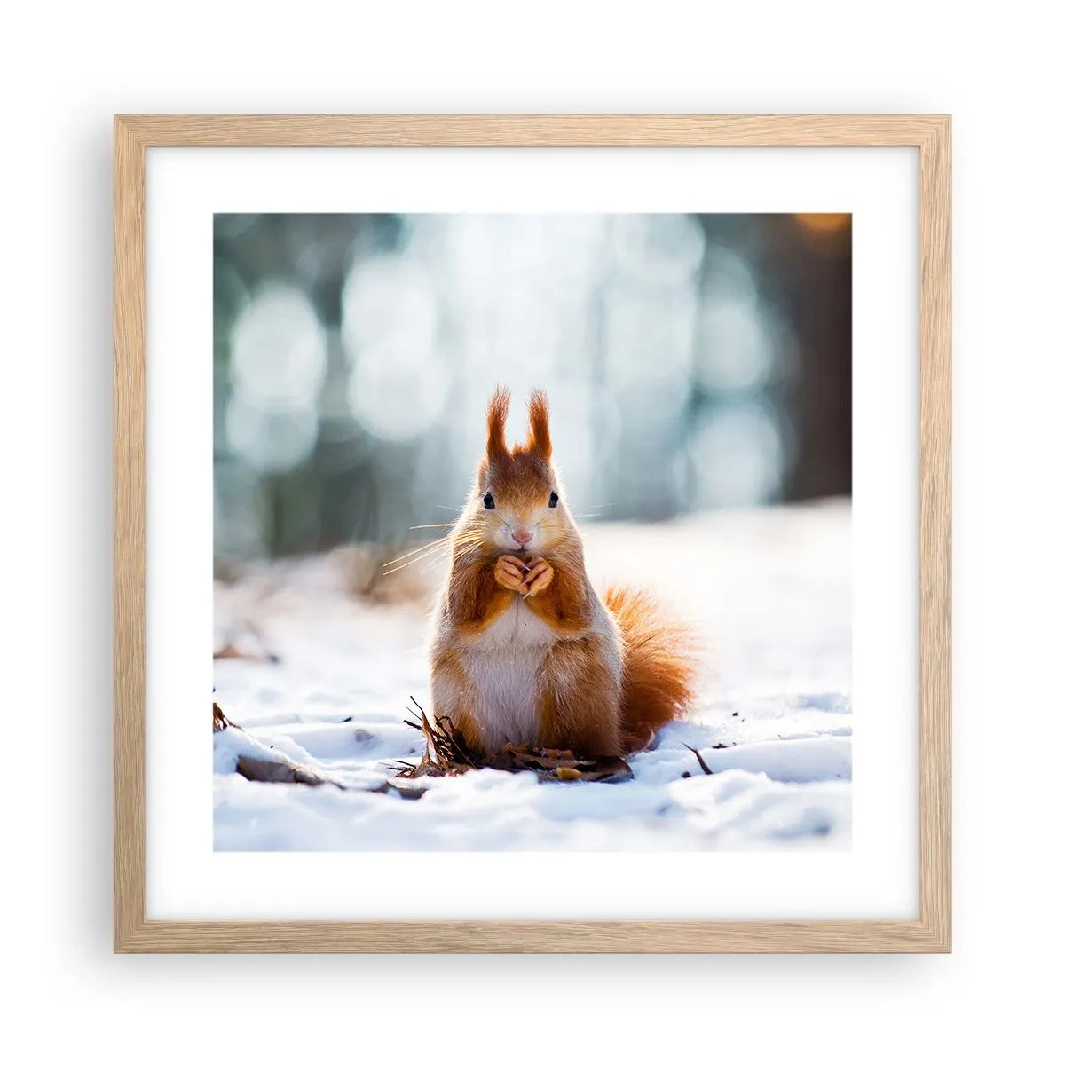 Affisch i ram av ljusek - Vad glor du på? - 40x40 cm