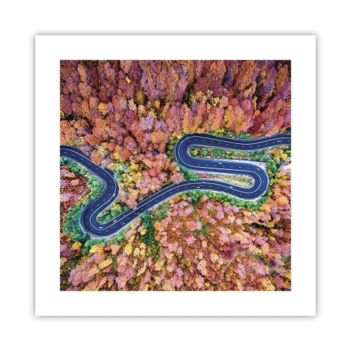Affisch - Slingrande väg genom skogen - 40x40 cm