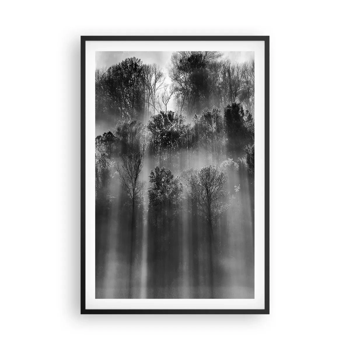 Affisch i svart ram - I ljusstrålar - 61x91 cm