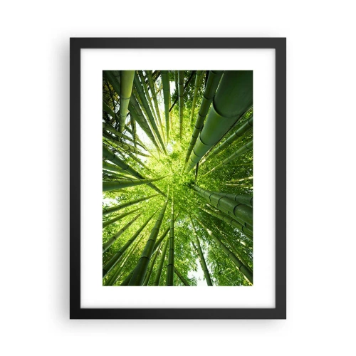 Affisch i svart ram - I en bambushage - 30x40 cm