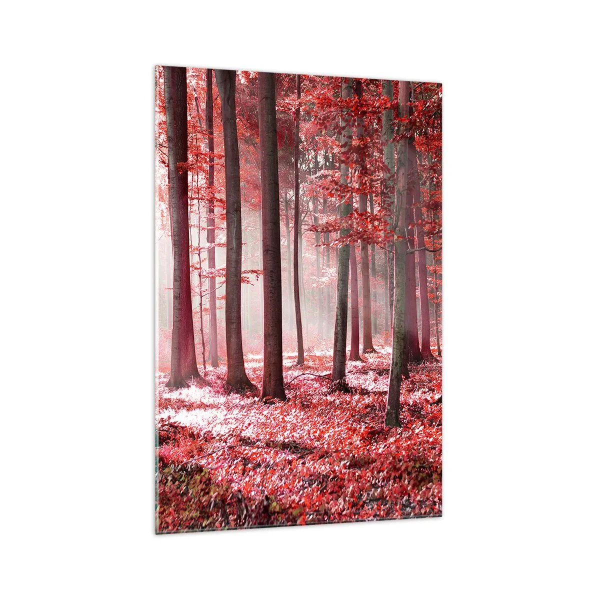 Glastavla - Bild på glas - Röd är lika vacker - 70x100 cm