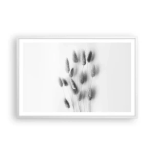 Affisch i vit ram - Fluffigt gräs - 91x61 cm