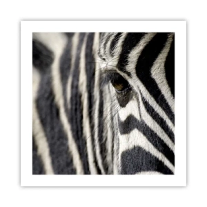 Affisch - Randig porträtt - 50x50 cm