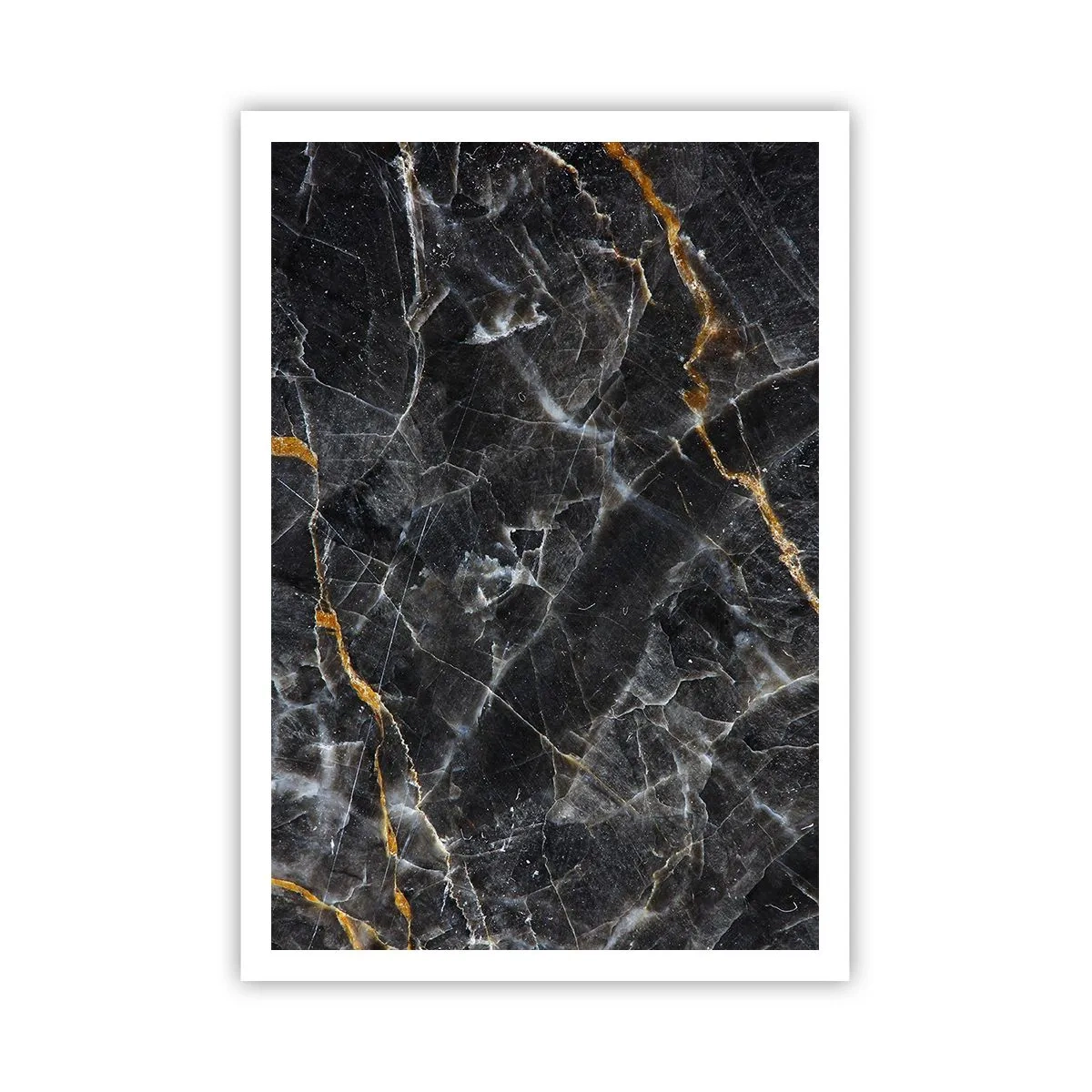 Affisch - Stenens interna liv - 70x100 cm