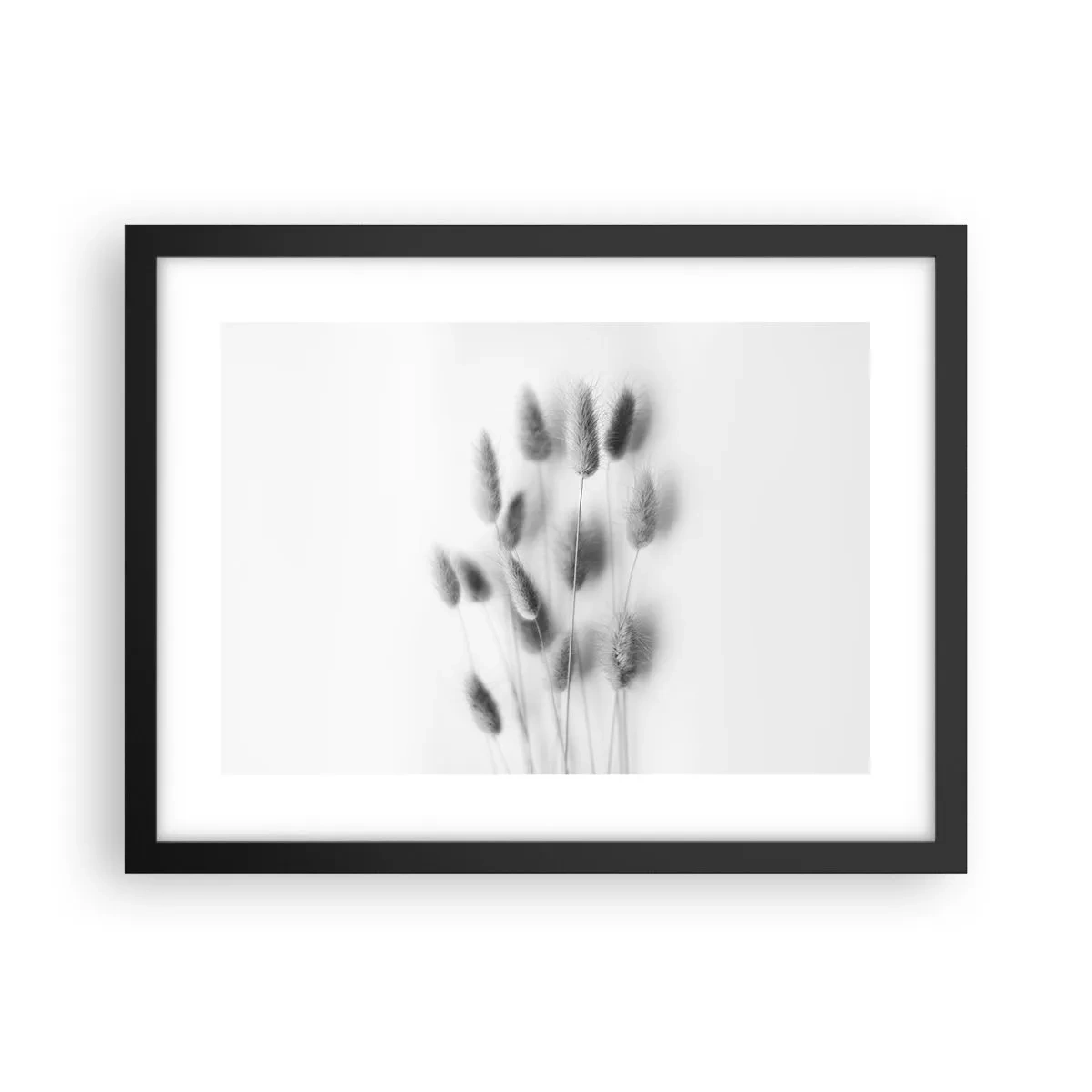 Affisch i svart ram - Fluffigt gräs - 40x30 cm