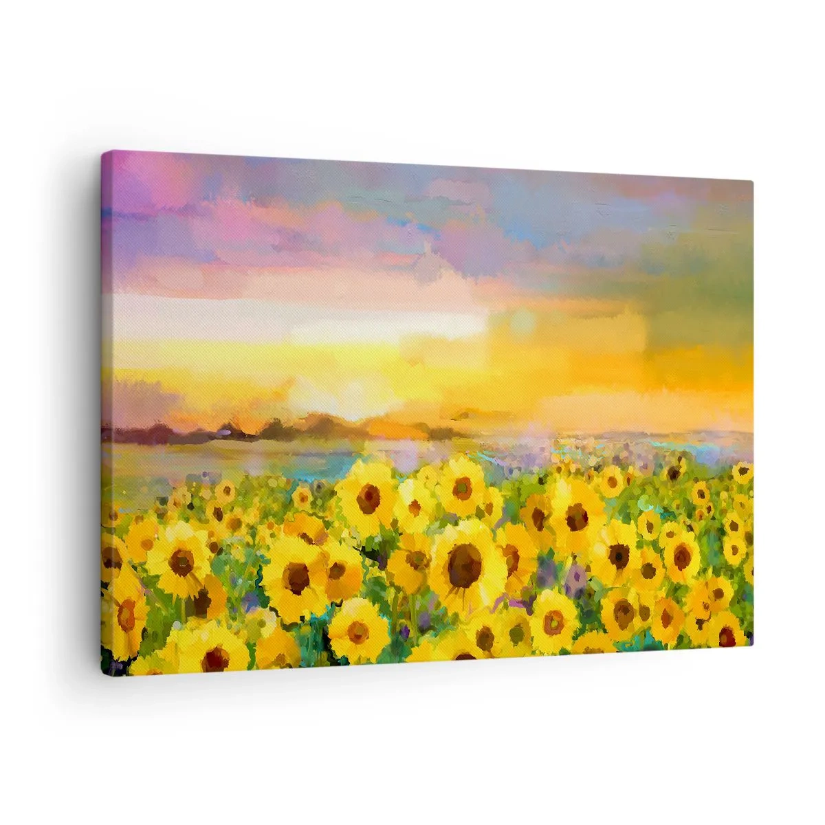 Canvastavla - Bild på duk - Ett fält av solrosor i ljuset av den nedgående solen - 70x50cm - Själva solen gick ner på jorden - Modern väggdekoration för vardagsrum och sovrum ARTTOR