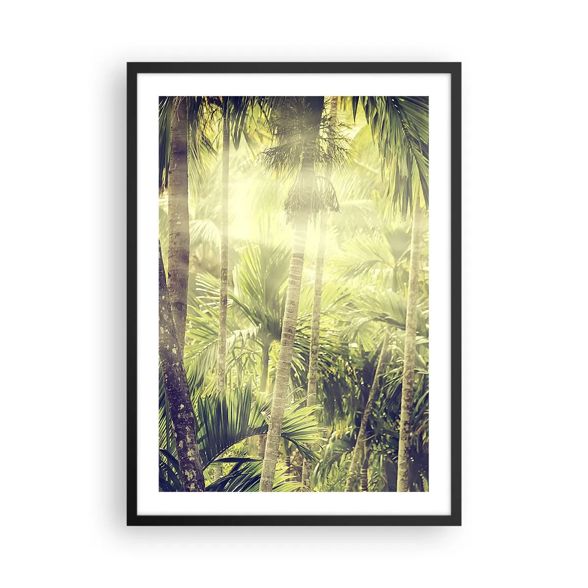 Affisch i svart ram - Tropisk skog med solstrålar i bakgrunden - 50x70cm - I gröna glöden - Modern väggdekoration för vardagsrum och sovrum ARTTOR