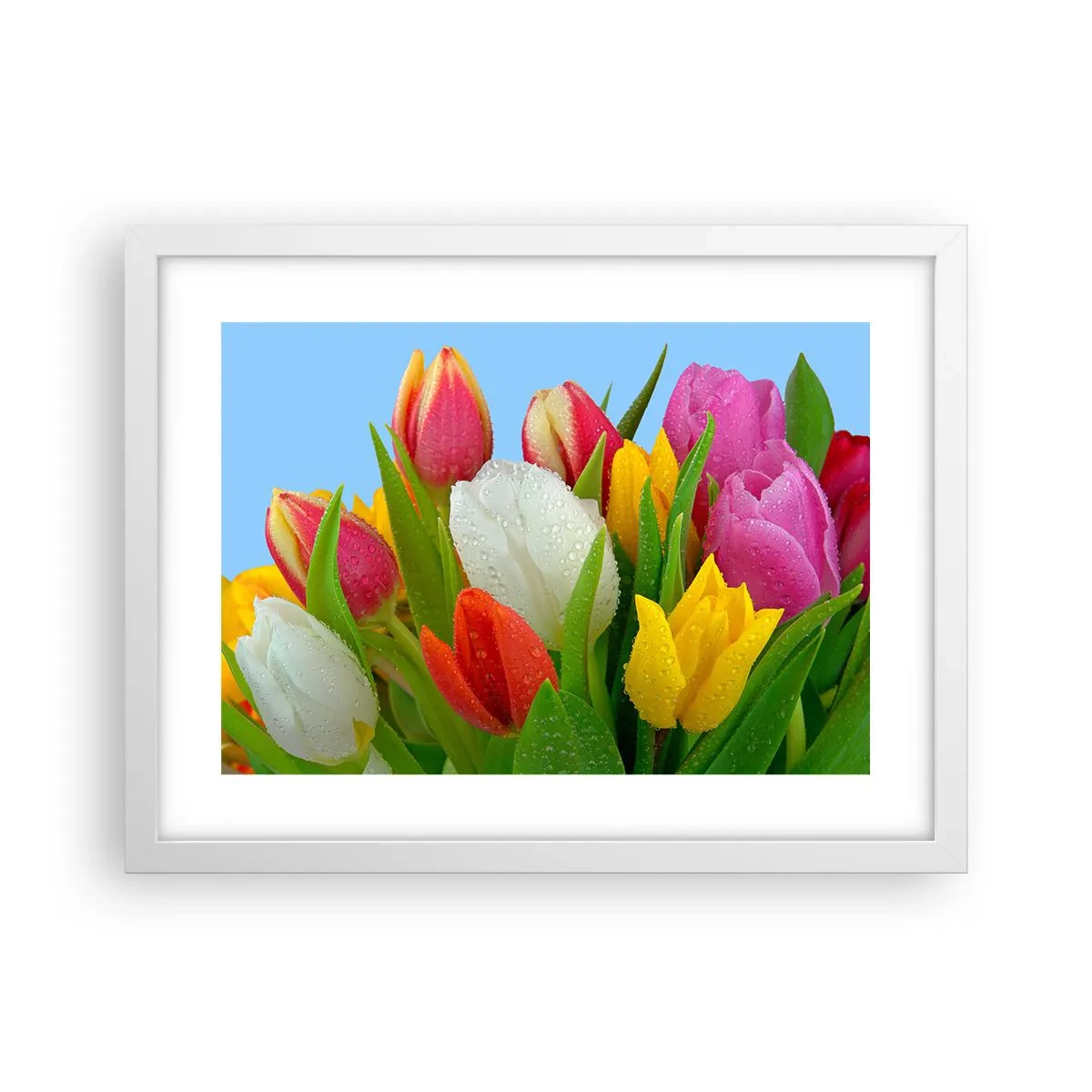 Affisch i vit ram - blommig regnbåge i daggdroppar - 40x30 cm