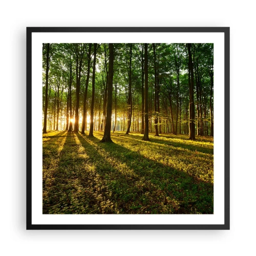 Affisch i svart ram - Fotografi av alla vårar - 60x60 cm