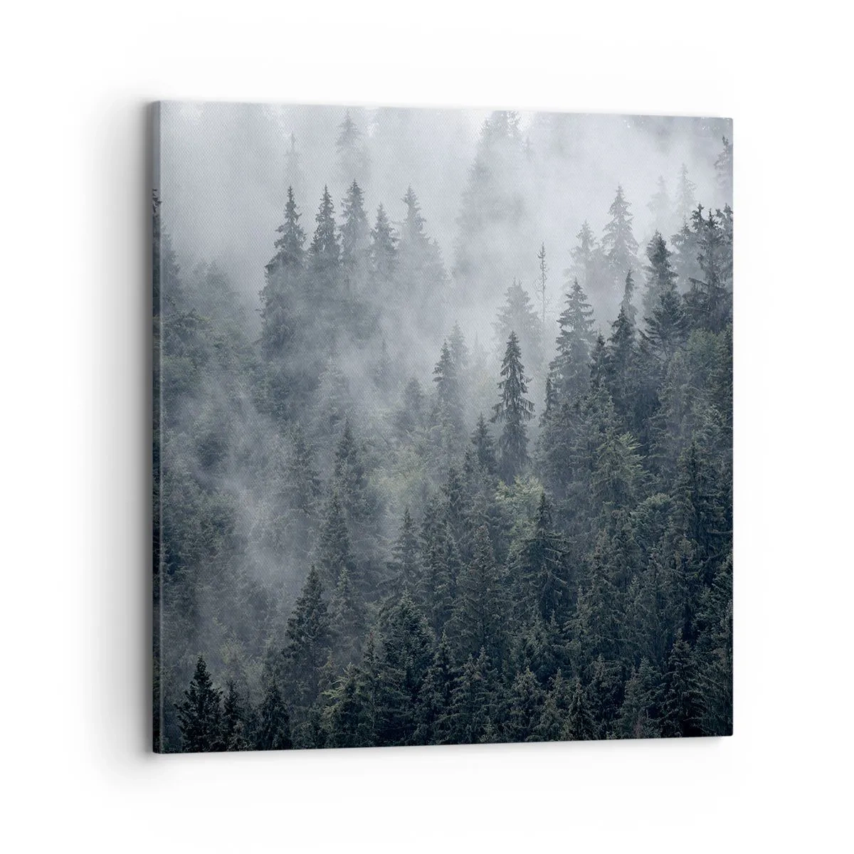 Canvastavla - Bild på duk - Gryning i skogen - 70x70 cm