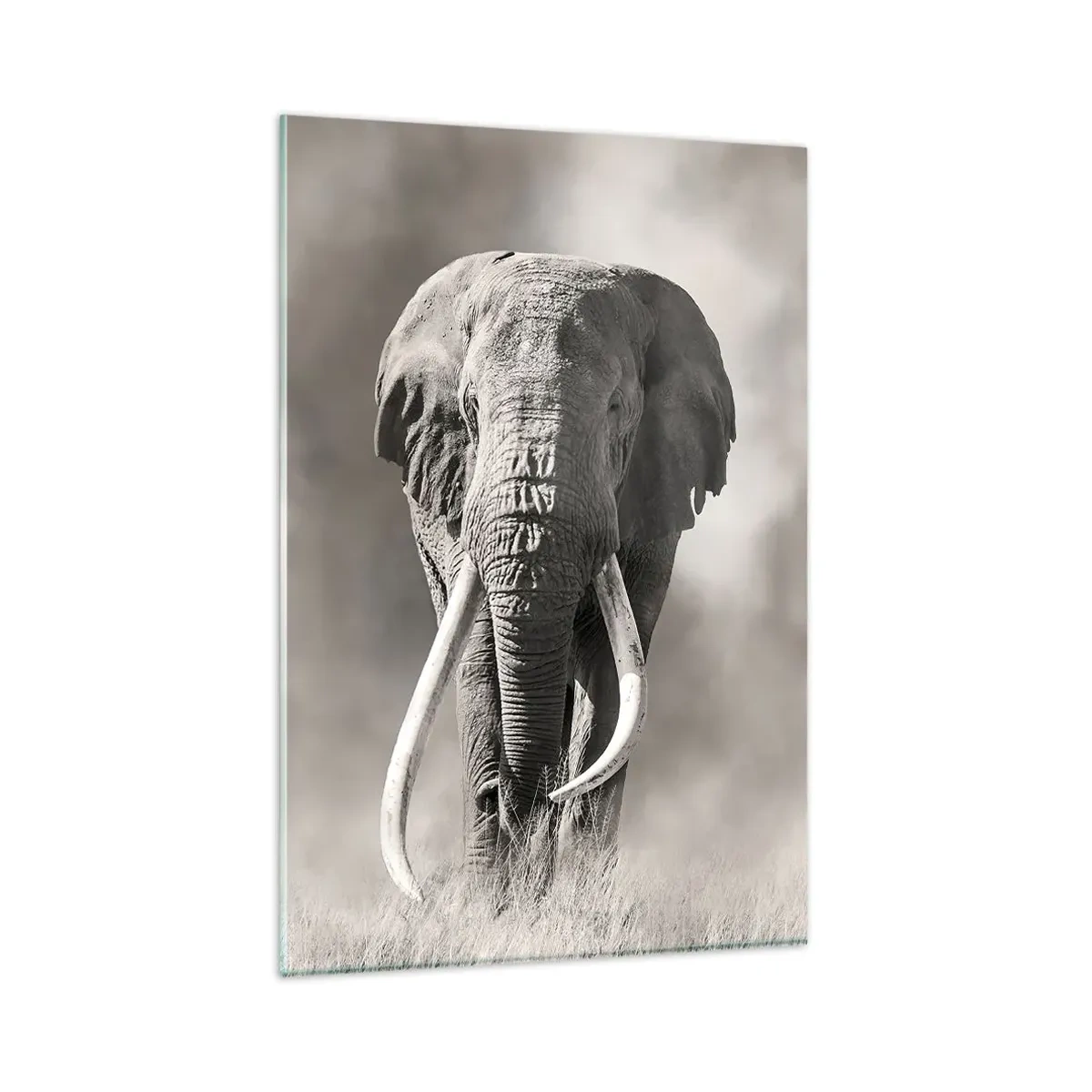 Glastavla - Bild på glas - Afrikansk patriark - 80x120 cm