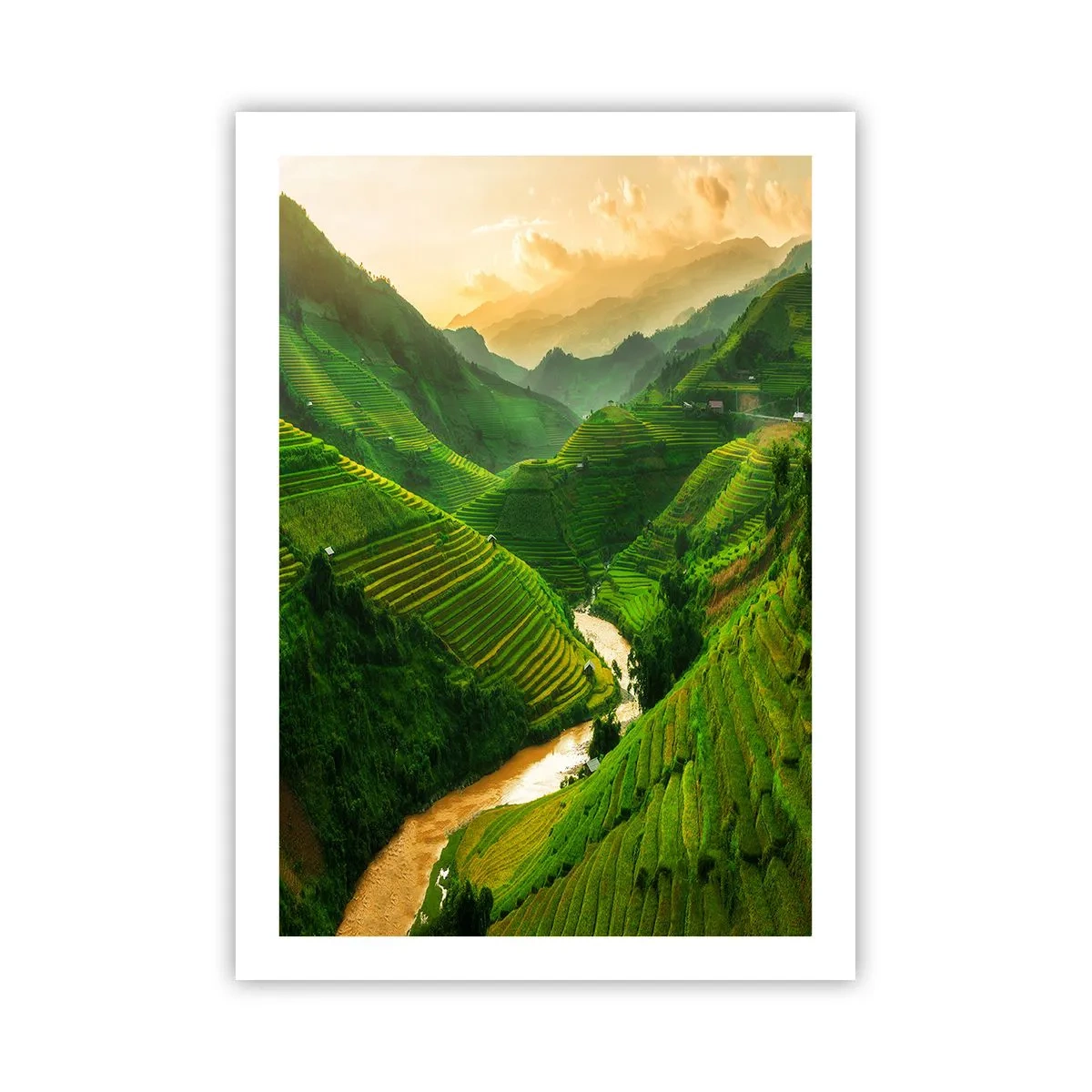 Affisch - Vietnamesisk dal - 50x70 cm