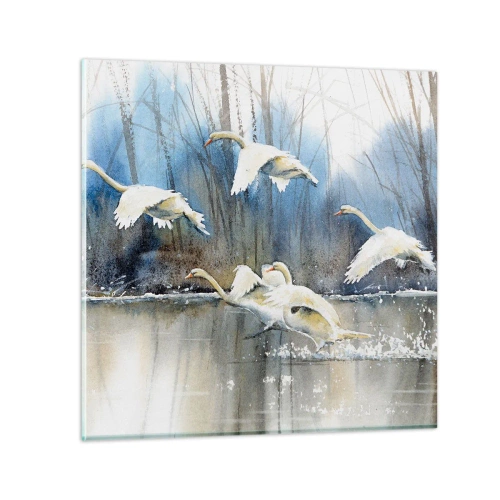 Glastavla - Bild på glas - Som i en saga om vilda svanar - 60x60 cm