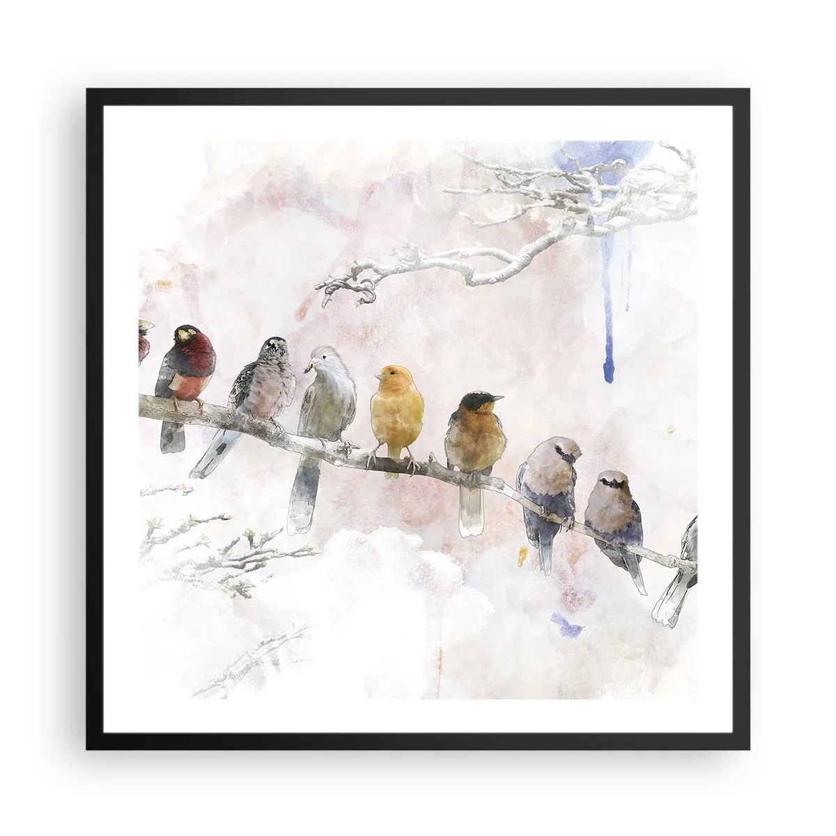 Affisch i svart ram - Bevingat möte - 60x60 cm