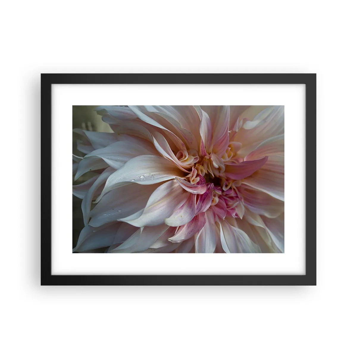 Affisch i svart ram - Blommande friskhet - 40x30 cm