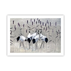 Affisch - Bland sina - 70x50 cm