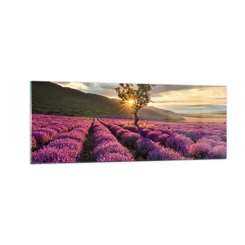 Glastavla - Bild på glas - Arom i lila färg - 140x50 cm