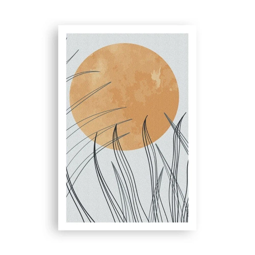 Affisch - Alltid mot solen - 61x91 cm