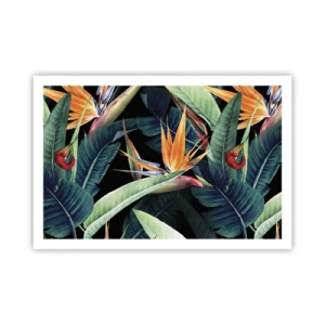 Affisch - Tropikens brinnande blommor - 91x61 cm