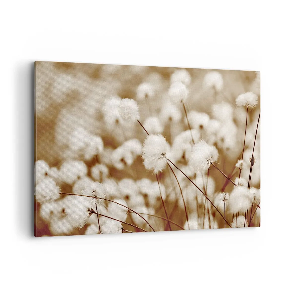 Canvastavla - Bild på duk - Fluffig åkermark - 120x80 cm