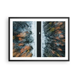 Affisch i svart ram - Genom vinterskogen - 70x50 cm