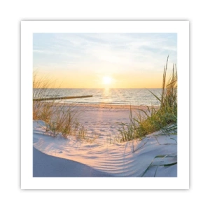 Affisch - Havets brus, fågelsång, tom strand bland träden - 50x50 cm
