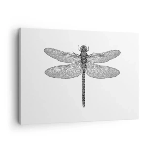 Canvastavla - Bild på duk - Svartvit teckning av en trollslända på vit bakgrund i minimalistisk stil - 70x50cm - Precision i naturen - Modern väggdekoration för vardagsrum och sovrum ARTTOR