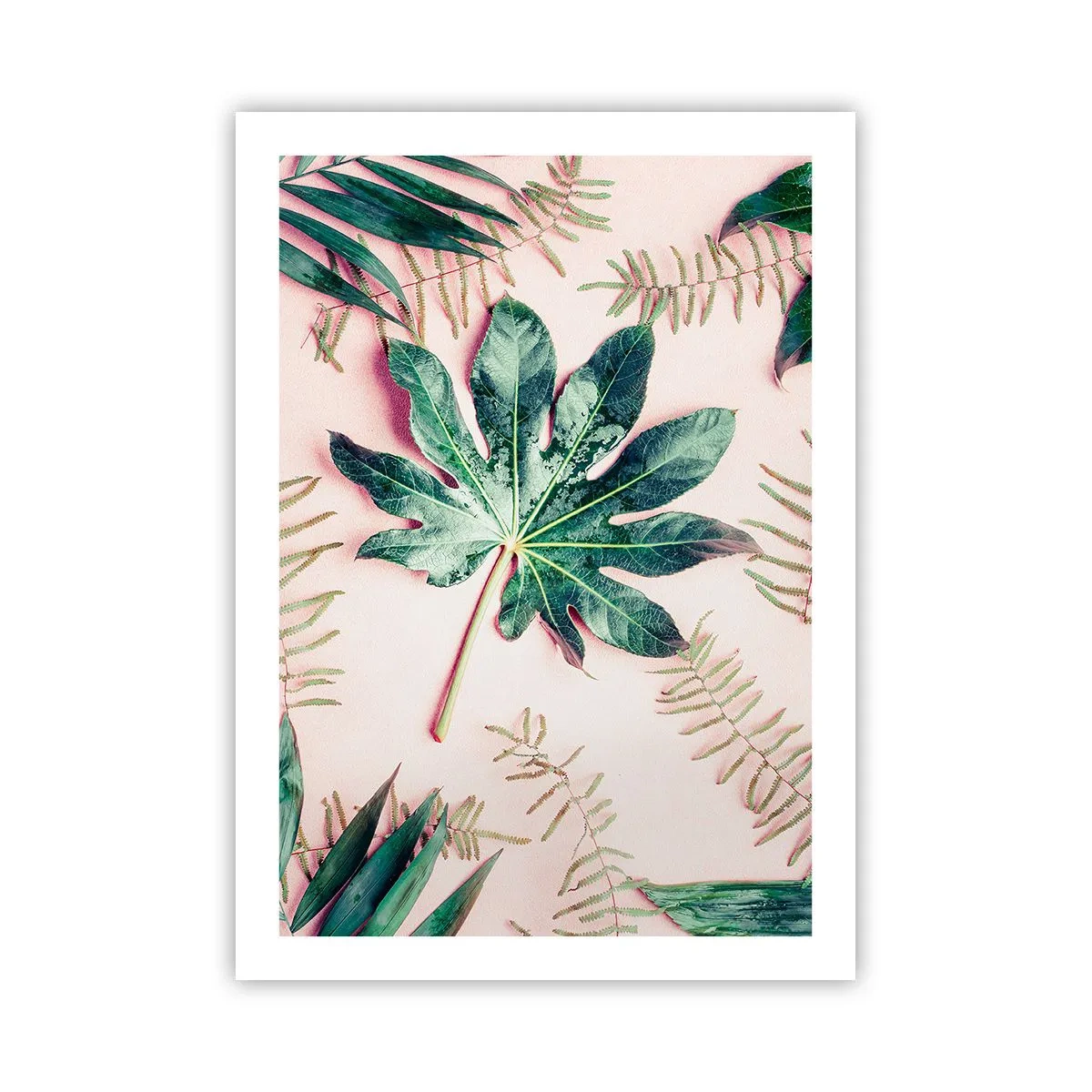 Affisch - Grönskans studie mot rosa bakgrund - 50x70 cm