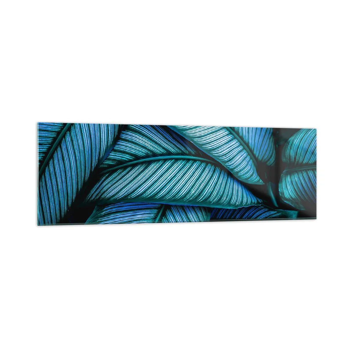Glastavla - Bild på glas - Livslinjer - 160x50 cm