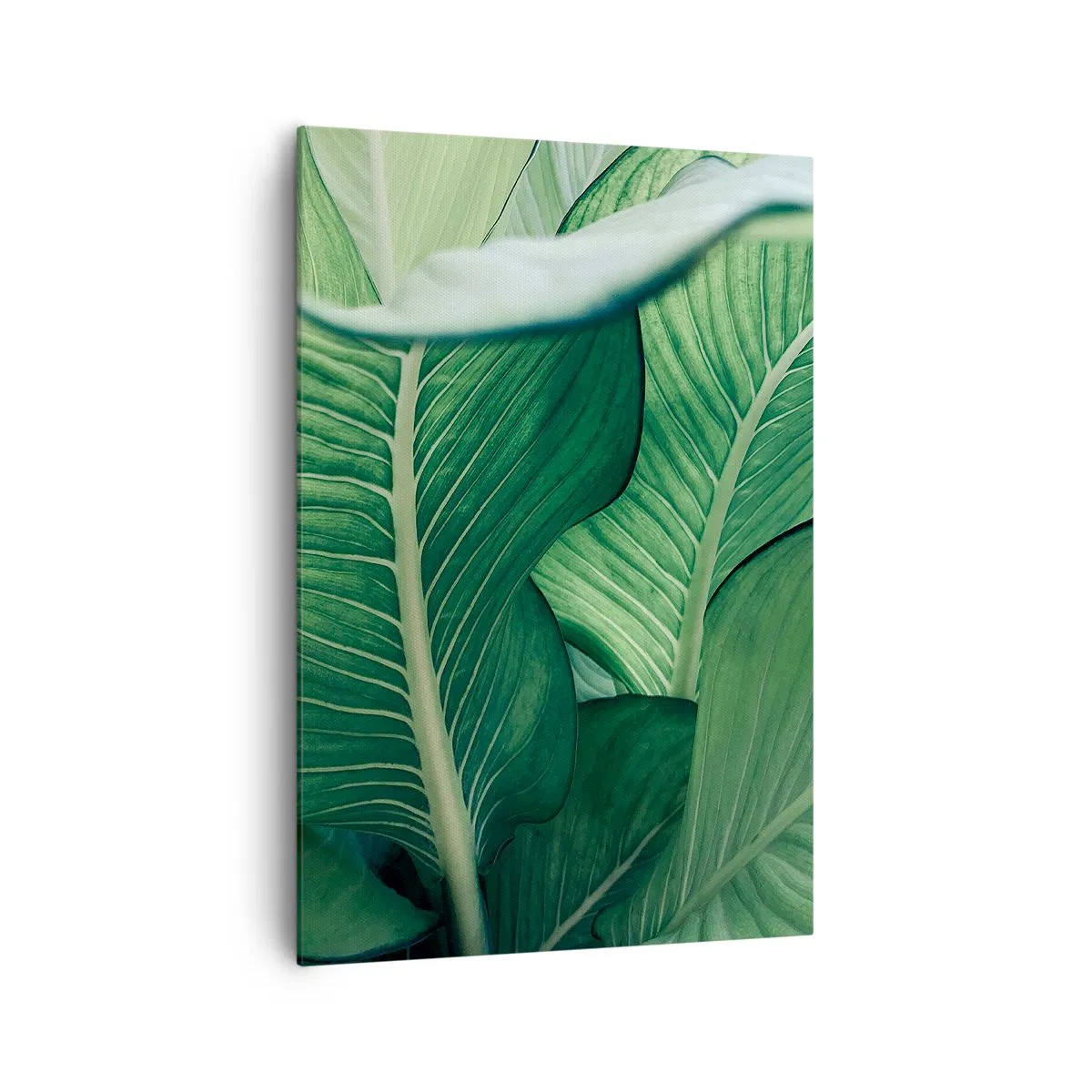 Canvastavla - Bild på duk - Livet intensivt grönt - 70x100 cm