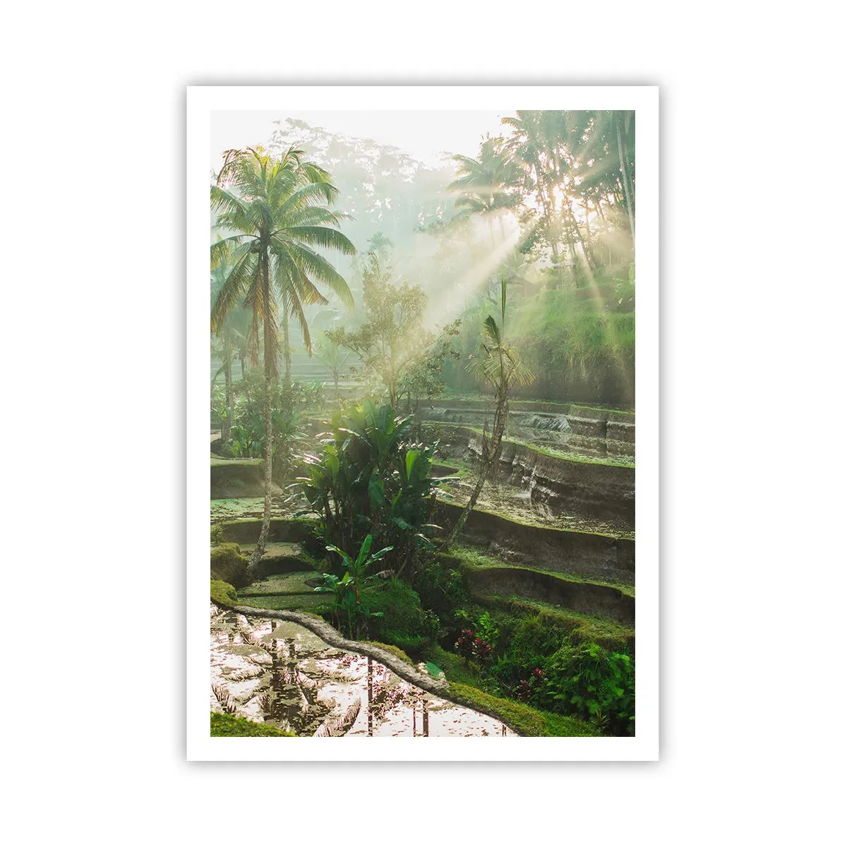 Affisch - Växa upp i solsken - 70x100 cm