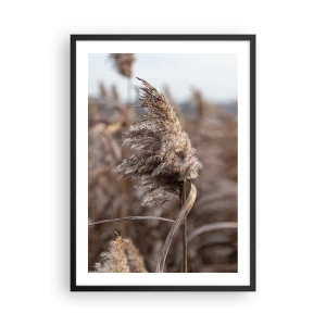 Affisch i svart ram - Närbild av torra vass i naturliga nyanser mot himlen - 50x70cm - Dags att flyga bort med vinden - Modern väggdekoration för vardagsrum och sovrum ARTTOR