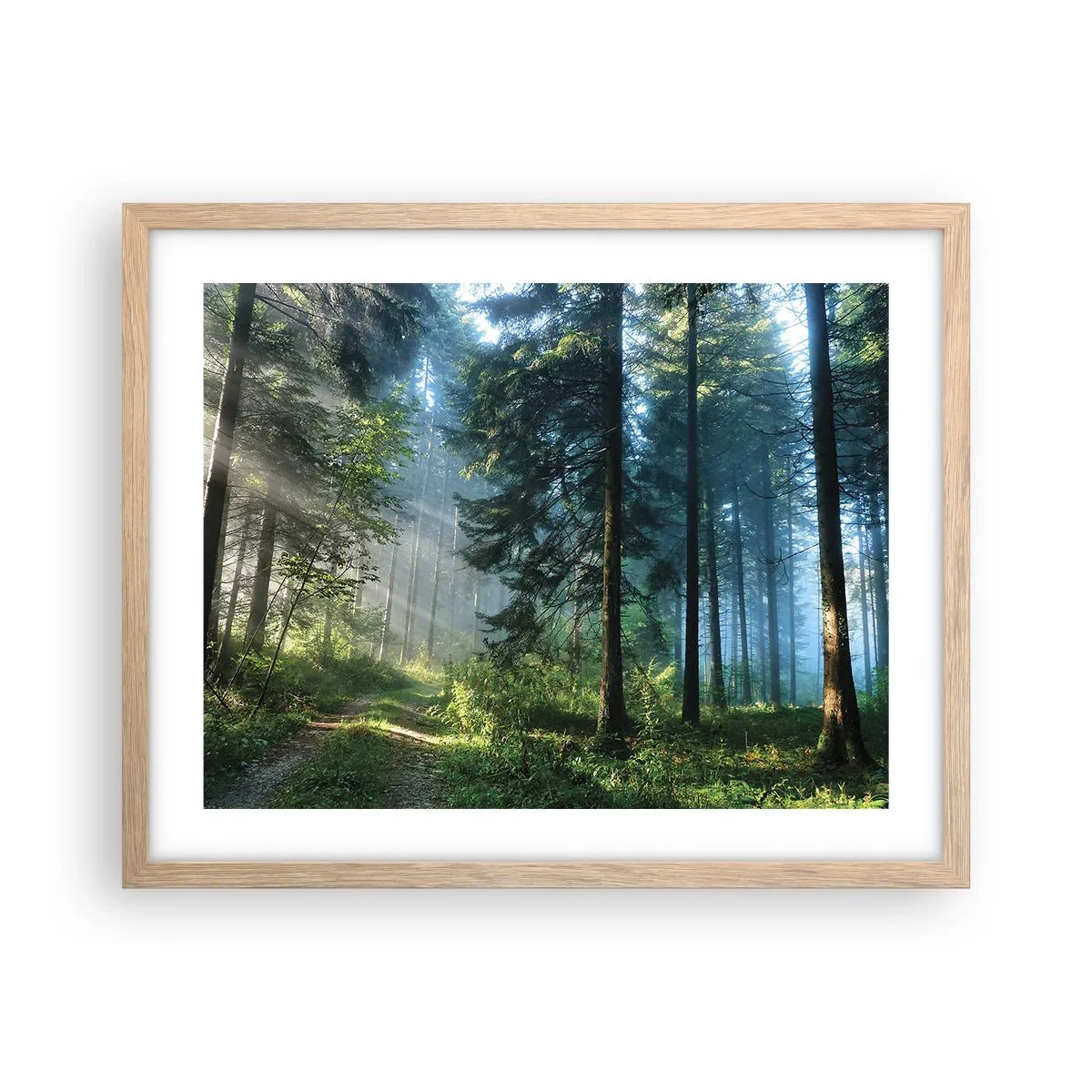 Affisch i ram av ljusek - Strålande på morgonen - 50x40 cm