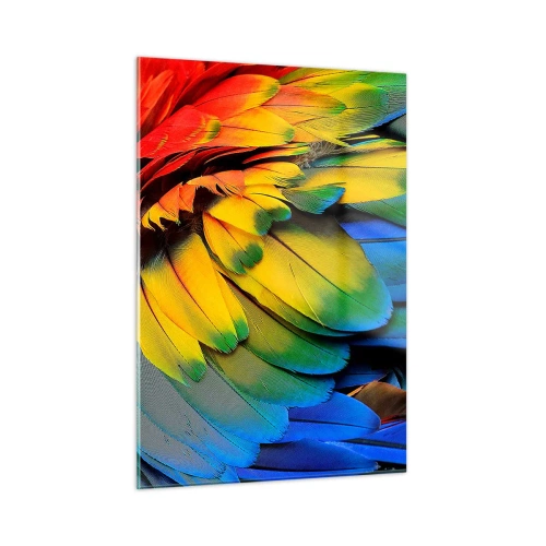 Glastavla - Bild på glas - Paradisfågel - 50x70 cm