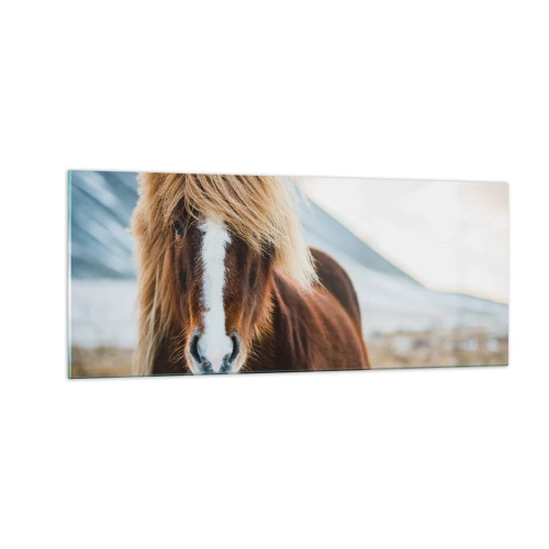 Glastavla - Bild på glas - Känner du friheten? - 100x40 cm