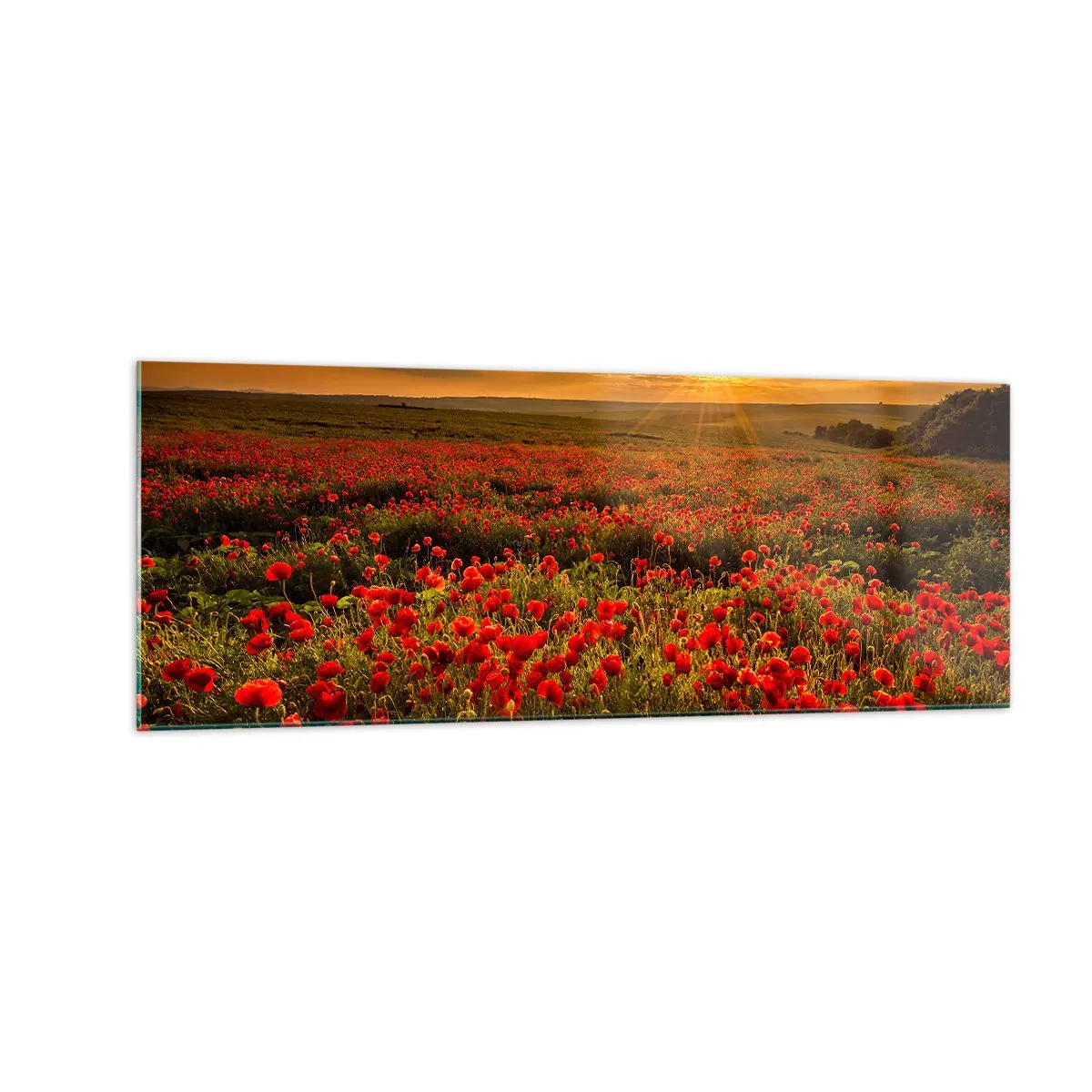 Glastavla - Bild på glas - Bland brusande ängars vågor, bland blommornas flod - 140x50 cm