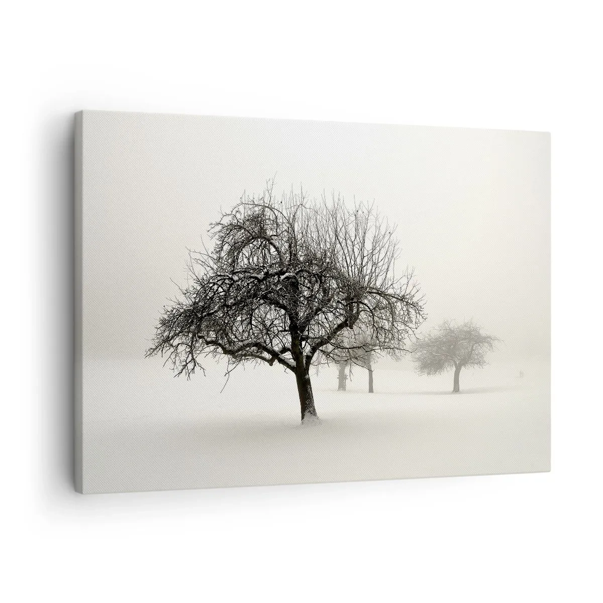 Canvastavla - Bild på duk - Träd i ett snötäckt fält omgivet av dimma - 70x50cm - Vintersömn - Modern väggdekoration för vardagsrum och sovrum ARTTOR