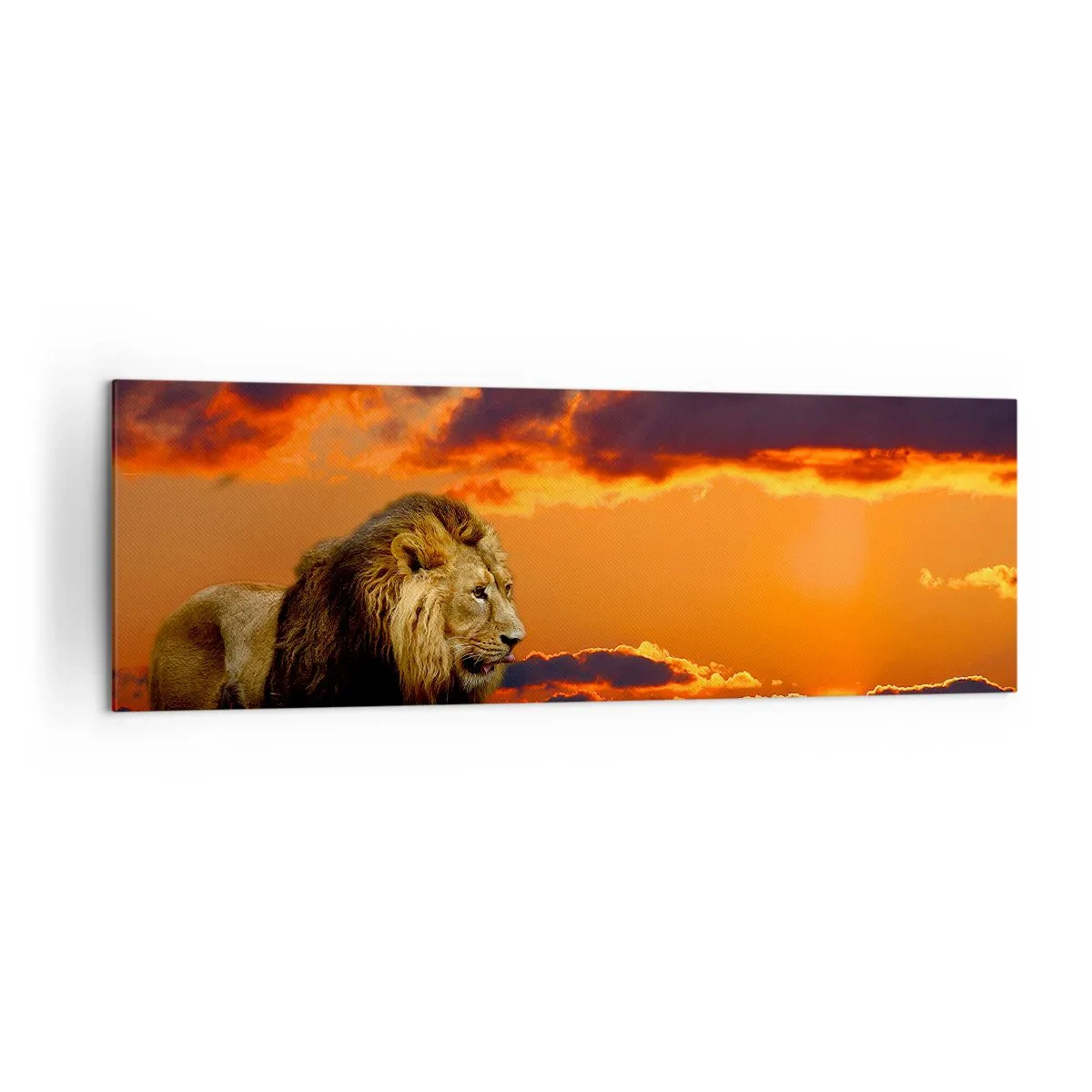 Canvastavla - Bild på duk - Naturens kung - 160x50 cm