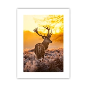 Affisch - Höstskogens kung - 30x40 cm