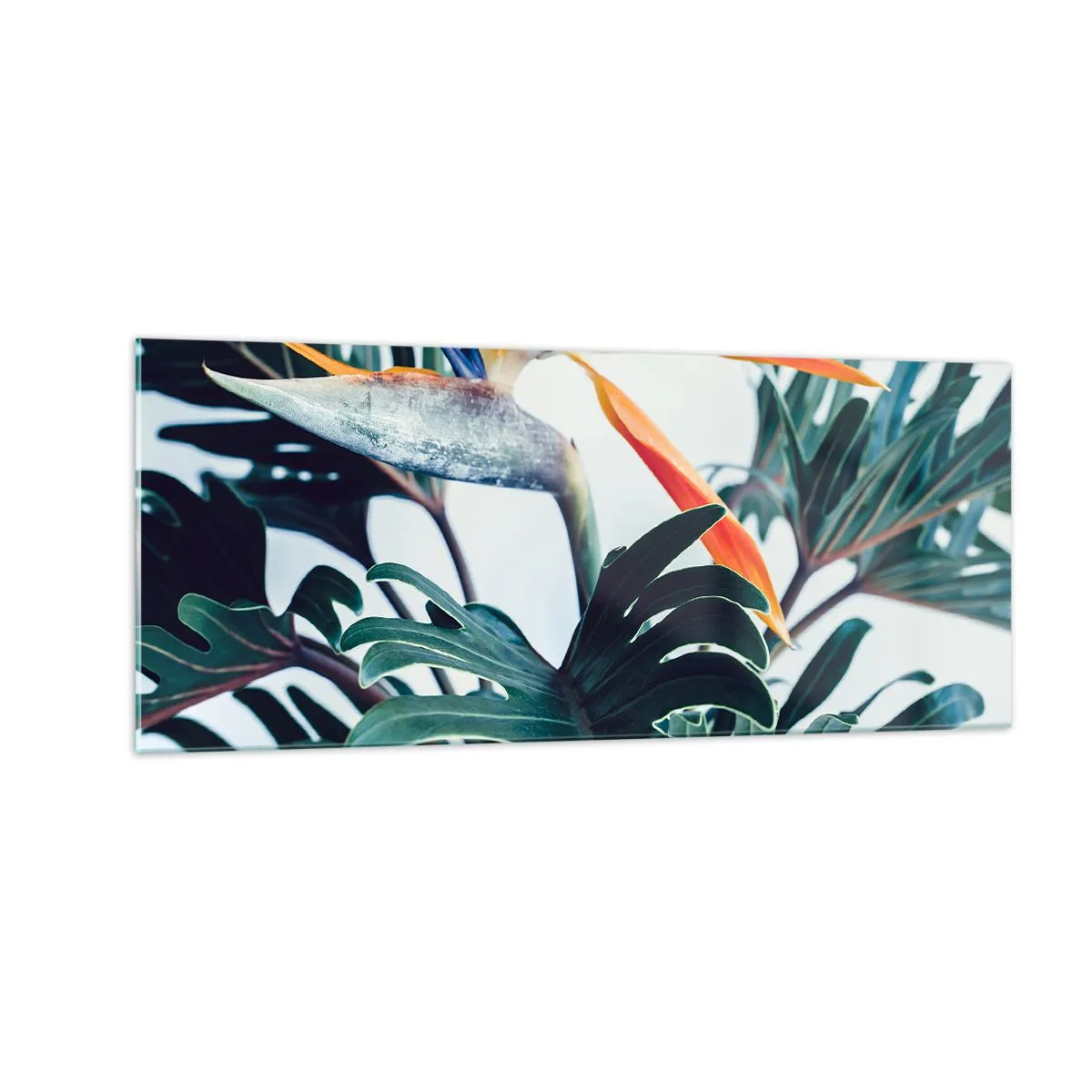 Glastavla - Bild på glas - Fågelbuske - 100x40 cm