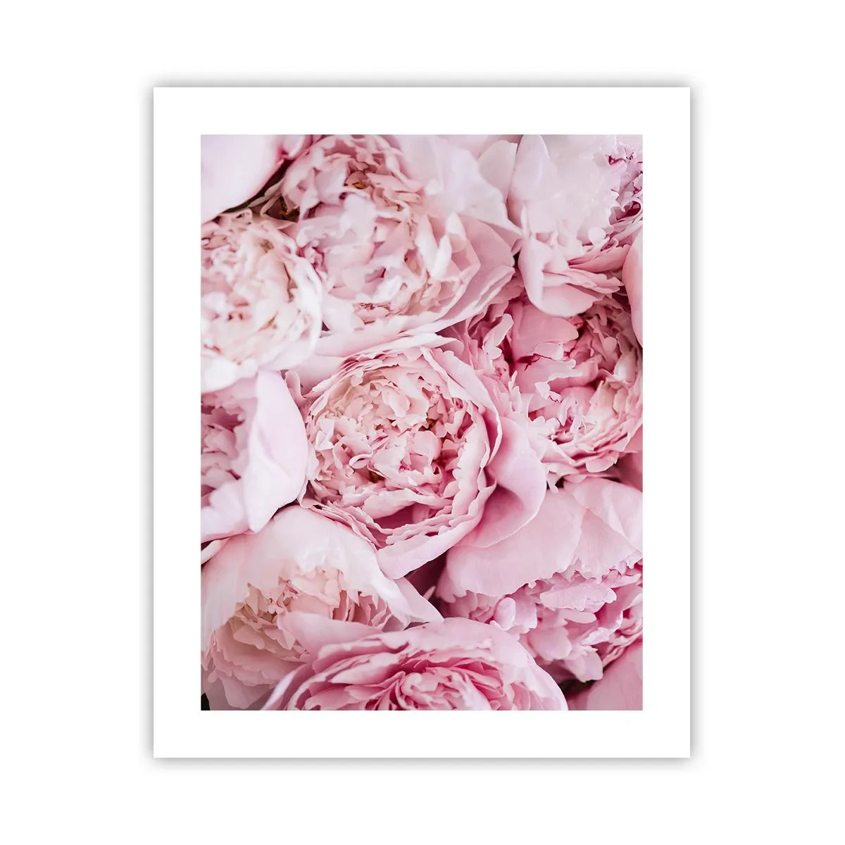 Affisch - Hopklämda och doftande - 40x50 cm