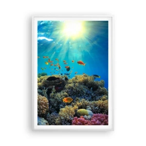Affisch i vit ram - Undervatenskatter - 70x100 cm